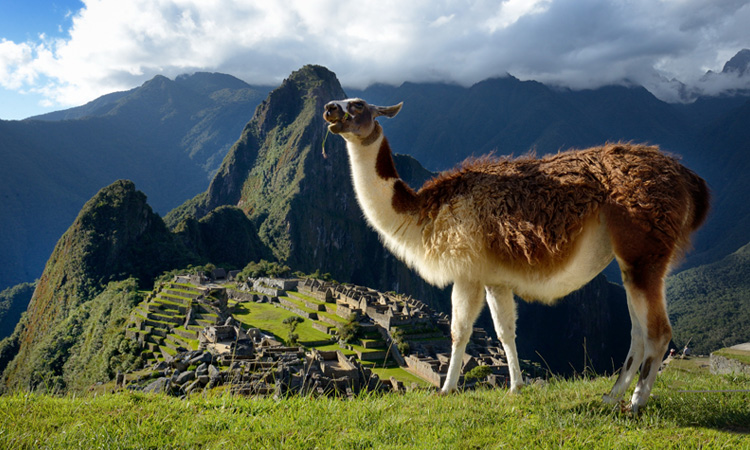 Paquete de viaje a Machu Picchu 2024